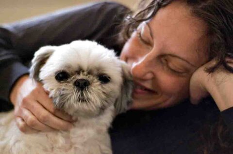 The most important thing during puppy training is to show your dog that good things ALWAYS happen during training -- treats, praise, and playtime!