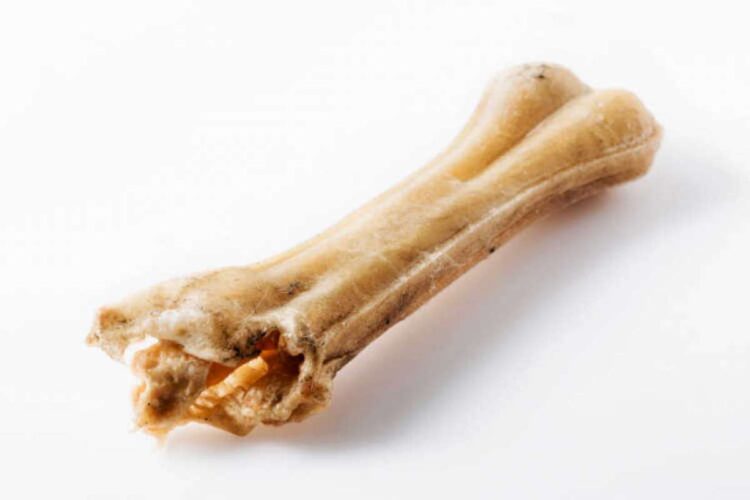 Are Pressed Rawhide Bones Safe For Dogs? (Yes Pressed Rawhide Is Safe