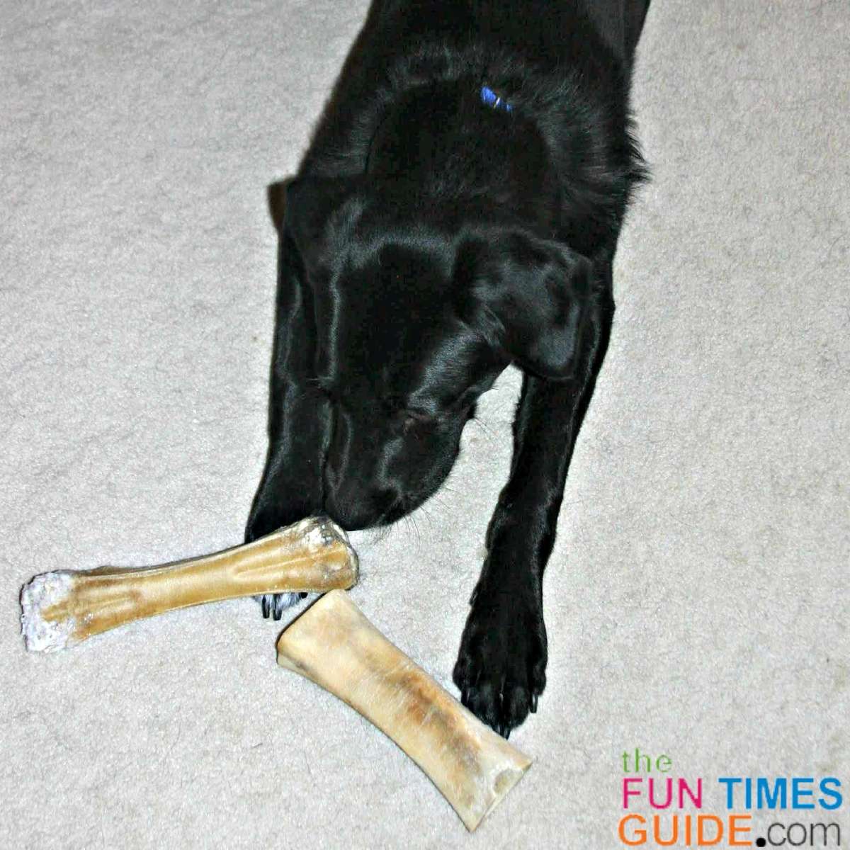 Pressed rawhide bones safe best sale