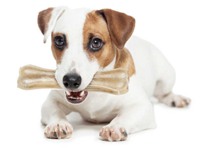 Are Pressed Rawhide Bones For Dogs Safe? The Pros, Cons, And What You Need To Know Before Giving Them To Your Dog!