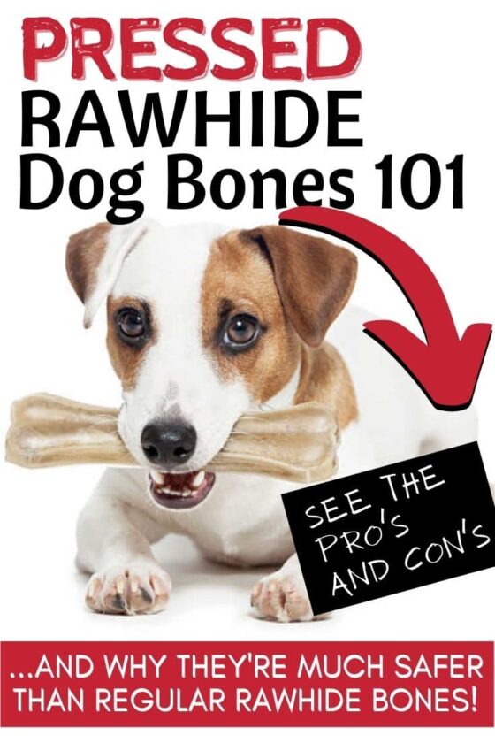 Are Pressed Rawhide Bones Safe For Dogs? (Yes Pressed Rawhide Is Safe