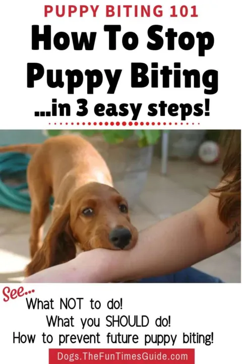 See how to stop puppy biting and puppy nipping once and for all!