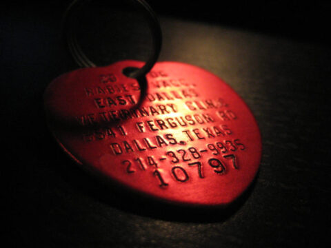 This is an example of a dog rabies tag. 