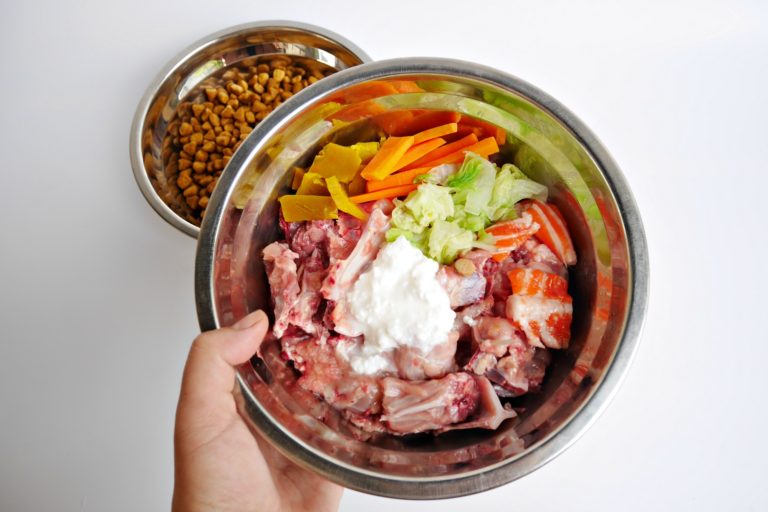 Holistic Treatments For Canine Cancer A List Of Supplements For Dogs