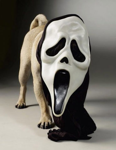 scary_hound_dog_wearing_scary_movie_mask.jpg