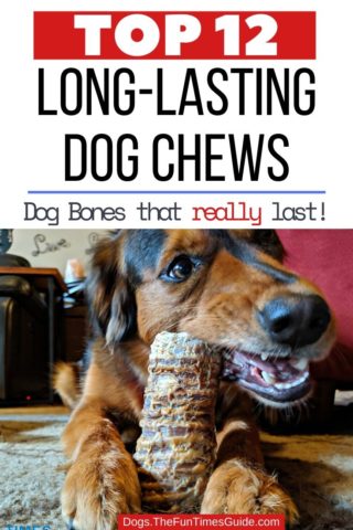 The longest lasting dog chews - better than rawhide
