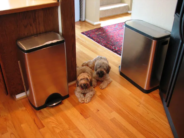 A couple of SimpleHuman dog proof trash cans.