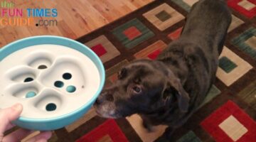 My dog's first introduction to the PAW5 Rock 'N Bowl slow feeder.