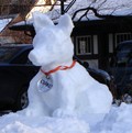 snow-dog.jpg
