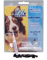 Soft Claws nail caps for dogs to prevent scratching.
