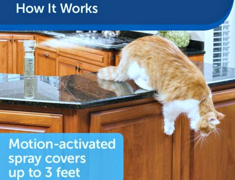 SSSCAT is a can of compressed air that is motion-activated to spray whenever your pet gets within 3 feet of it.
