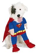 Superman dog costume... SuperDog!