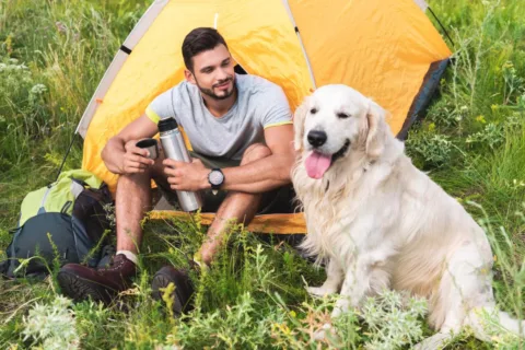 If you and your dog love the outdoors, then camping and hiking are fun dog vacation ideas to consider.