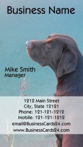 tall-dog-business-cards