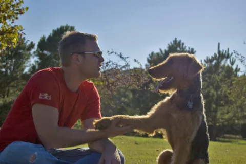 teaching-dog-tricks