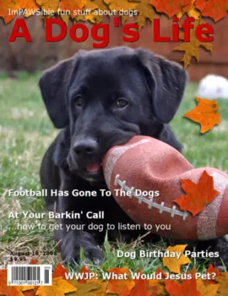 tenors-dog-magazine
