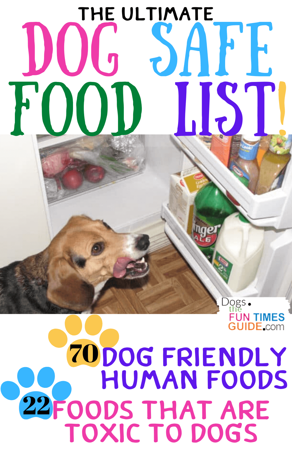 which of these food items are safe for dogs to eat