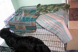 Three brand new pillow cases, draped over a dog crate.