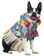 tiki-hula-skirt-dog-costume.jpg