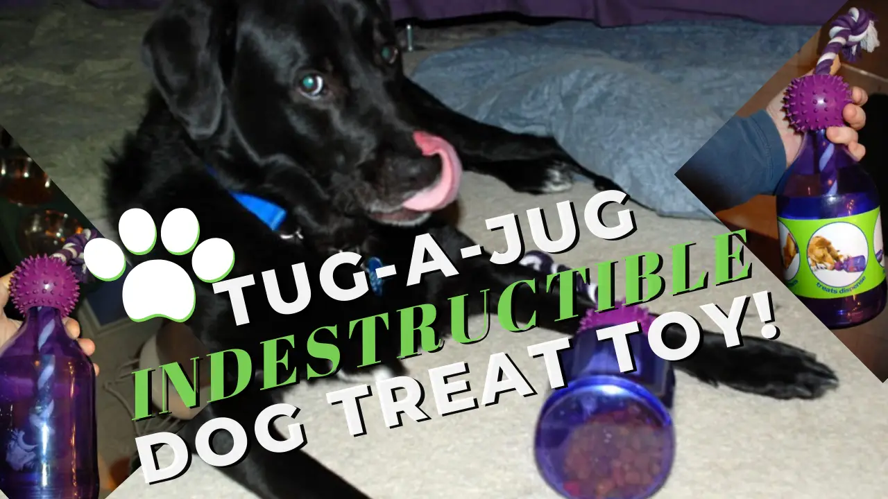 Tug-a-jug Dog Treat Dispensing Toy- 3 SIZES