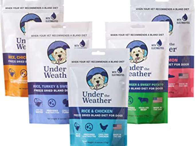 I always keep these Under The Weather freeze-dried food packets on hand year-round as a dog diarrhea treatment. They're highly recommended by veterinarians too!