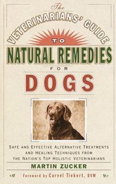 veterinarians-guide-to-natural-remedies-for-dogs.jpg