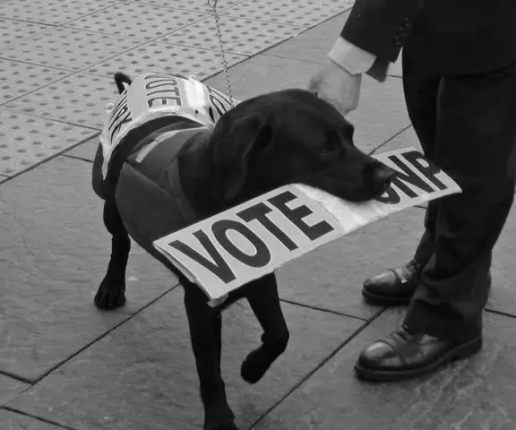 Vote in favor of dog tax write-offs.