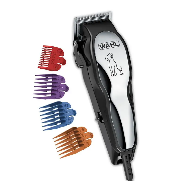 The 3 Shih Tzu Grooming Tools You Need To Clip, Brush, And Comb Your