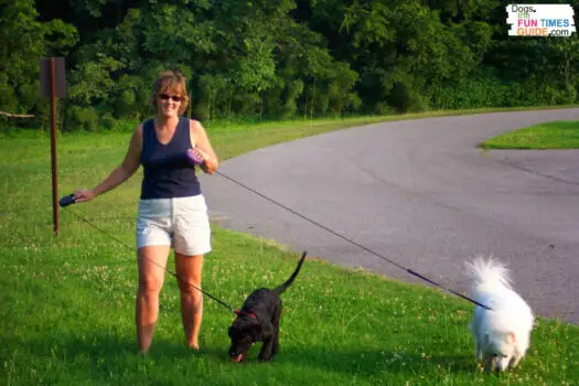 Walking two dogs can be a challenge at first.