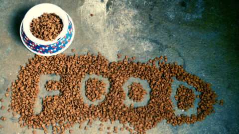 See why I switched from store dog food brands to Nature's Select dog food delivery... for FREE! 