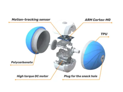 How the Wicked Ball dog toy works, according to the manufacturer Cheerble