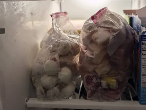This is how I store my dogs' homemade Pupsicle refills in the freezer -- in 1 gallon freezer bags. photo by Lynnette at TheFunTimesGuide.com This is how I store my dogs' homemade Pupsicle refills in the freezer -- in 1 gallon freezer bags.
