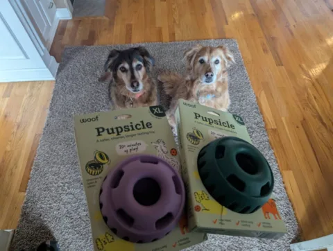 I wasn't sure which size Pupsicles to buy for my 55lb dogs. First, I tried the LARGE Pupsicles. Then I tried the XLARGE Pupsicles. Find out which size we like best... and why! photo by Lynnette at TheFunTimesGuide.com I wasn't sure which size Pupsicles to buy for my 55lb dogs. First, I tried the LARGE Pupsicles. Then I tried the XLARGE Pupsicles. Find out which size we like best... and why!