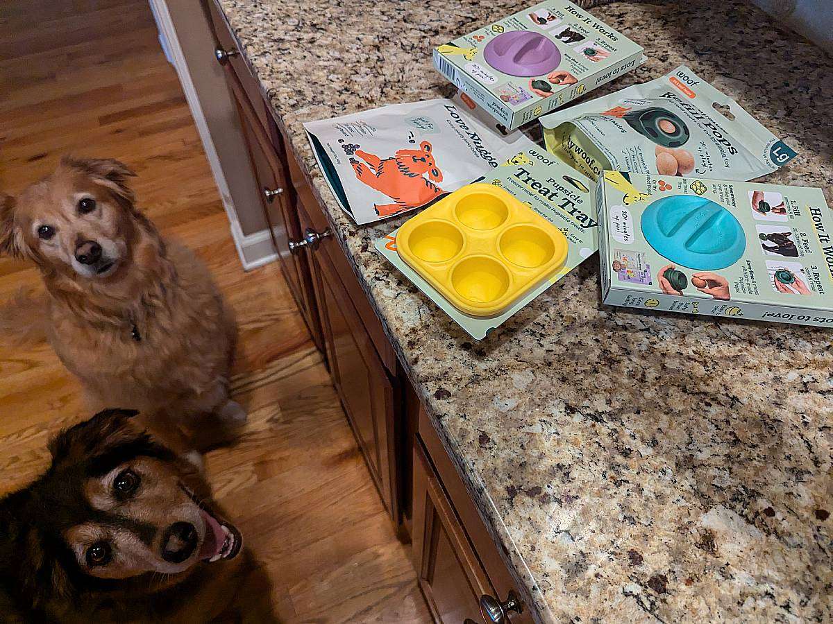 woof-pupsicle-starter-kit-review