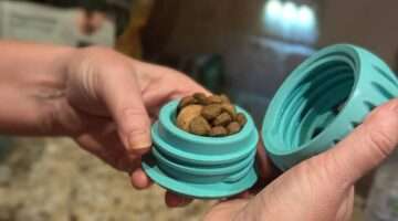 WOOF Pupsicle Review (See Why I Like Pupsicle Treat Balls Even Better than KONGS & Chew King Treat Toys)